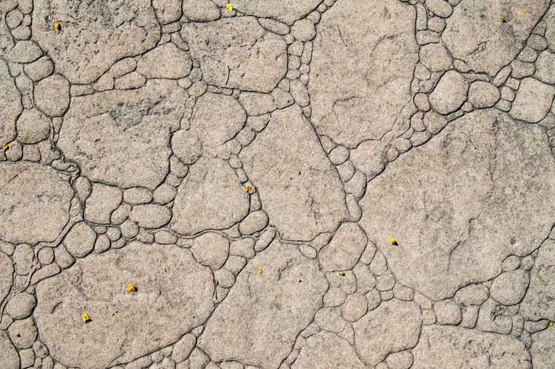 Decorative Concrete Repair in Columbia, SC